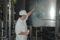 Fabrication des yaourts - Prélèvement échantillon de lait fermenté pour contrôle qualité